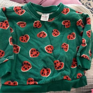 Hanna Andersson Green Ladybug Sweatshirt
